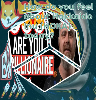 How to buy hokkaido inu crypto