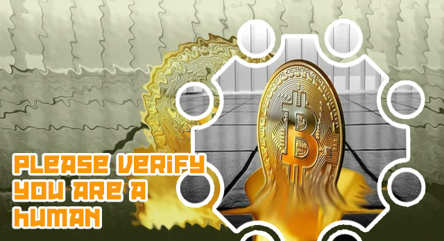 I bought $20 in bitcoin now what